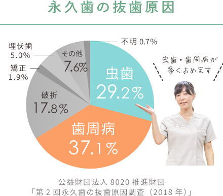 永久歯の抜歯原因は、虫歯・歯周病が多くを占めます